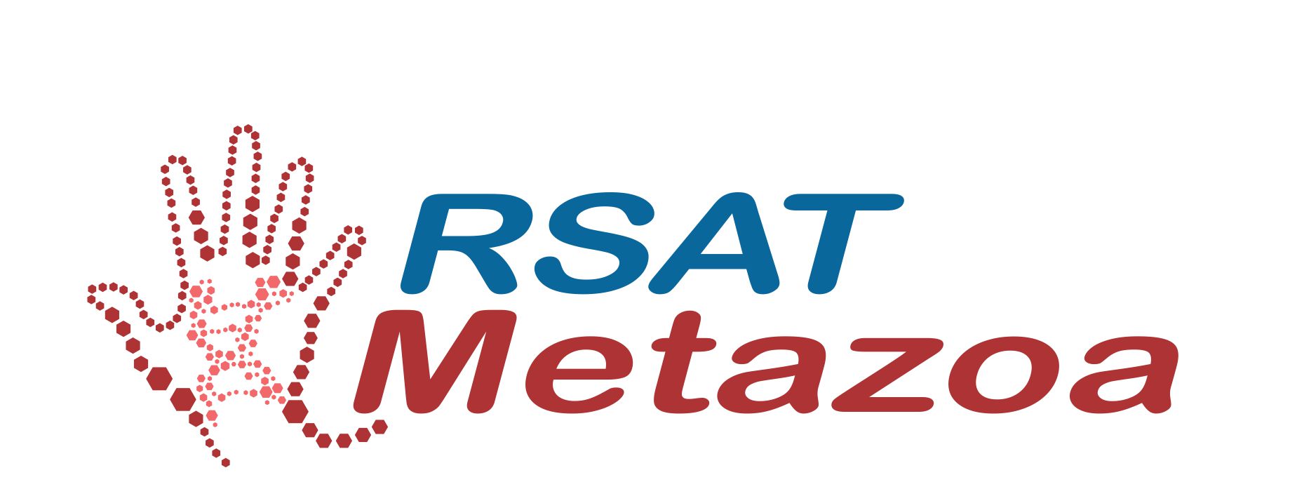 metazoa